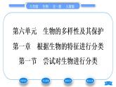 人教版八年级生物上第六单元生物的多样性及其保护第一章根据生物的特征进行分类第一节尝试对生物进行分类习题课件