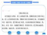 人教版八年级生物上第六单元生物的多样性及其保护第一章根据生物的特征进行分类第一节尝试对生物进行分类习题课件