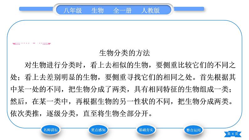 人教版八年级生物上第六单元生物的多样性及其保护第一章根据生物的特征进行分类第一节尝试对生物进行分类习题课件第4页