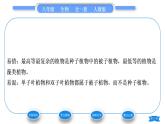 人教版八年级生物上第六单元生物的多样性及其保护第一章根据生物的特征进行分类第一节尝试对生物进行分类习题课件