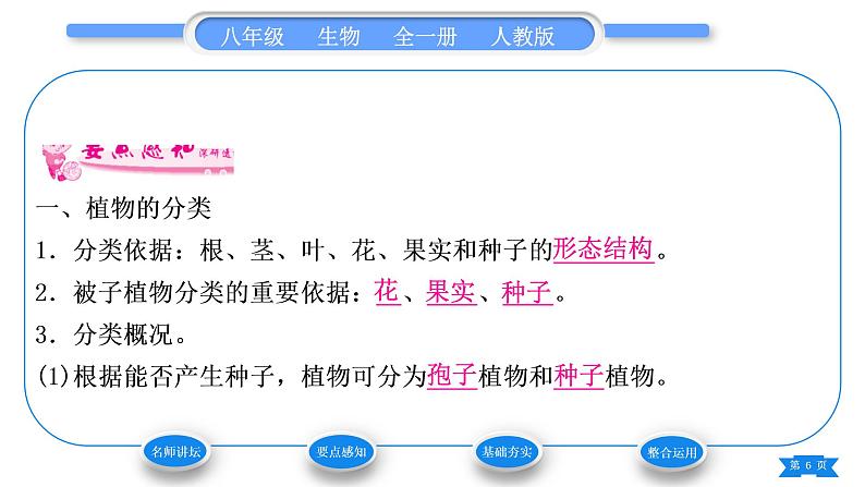 人教版八年级生物上第六单元生物的多样性及其保护第一章根据生物的特征进行分类第一节尝试对生物进行分类习题课件第6页