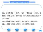 人教版八年级生物上第六单元生物的多样性及其保护第二章认识生物的多样性习题课件