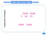 人教版八年级生物上第六单元生物的多样性及其保护复习与提升习题课件