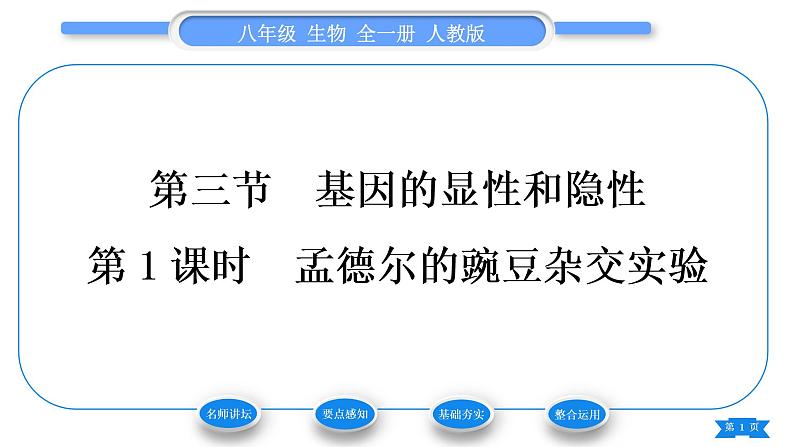 人教版八年级生物下第七单元生物圈中生命的延续和发展第二章生物的遗传与变异第三节基因的显性和隐性第1课时孟德尔的豌豆杂交实验习题课件第1页