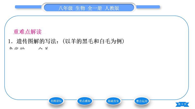 人教版八年级生物下第七单元生物圈中生命的延续和发展第二章生物的遗传与变异第三节基因的显性和隐性第1课时孟德尔的豌豆杂交实验习题课件第3页