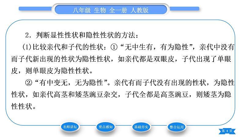 人教版八年级生物下第七单元生物圈中生命的延续和发展第二章生物的遗传与变异第三节基因的显性和隐性第1课时孟德尔的豌豆杂交实验习题课件第4页