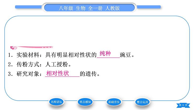 人教版八年级生物下第七单元生物圈中生命的延续和发展第二章生物的遗传与变异第三节基因的显性和隐性第1课时孟德尔的豌豆杂交实验习题课件第6页