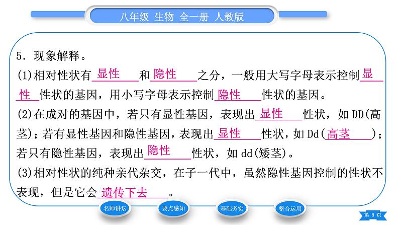 人教版八年级生物下第七单元生物圈中生命的延续和发展第二章生物的遗传与变异第三节基因的显性和隐性第1课时孟德尔的豌豆杂交实验习题课件第8页