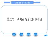 人教版八年级生物下第七单元生物圈中生命的延续和发展第二章生物的遗传与变异第二节基因在亲子代间的传递习题课件