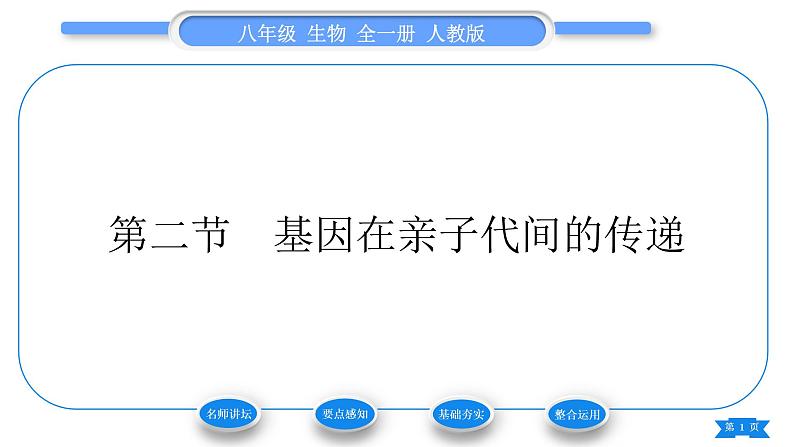 人教版八年级生物下第七单元生物圈中生命的延续和发展第二章生物的遗传与变异第二节基因在亲子代间的传递习题课件01