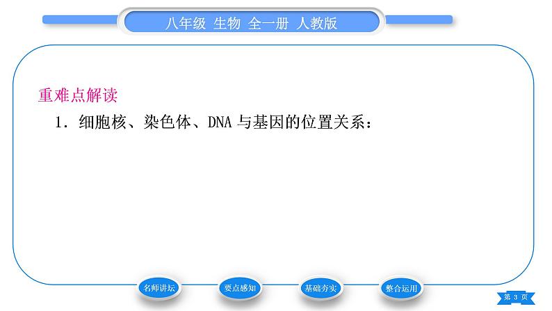 人教版八年级生物下第七单元生物圈中生命的延续和发展第二章生物的遗传与变异第二节基因在亲子代间的传递习题课件03