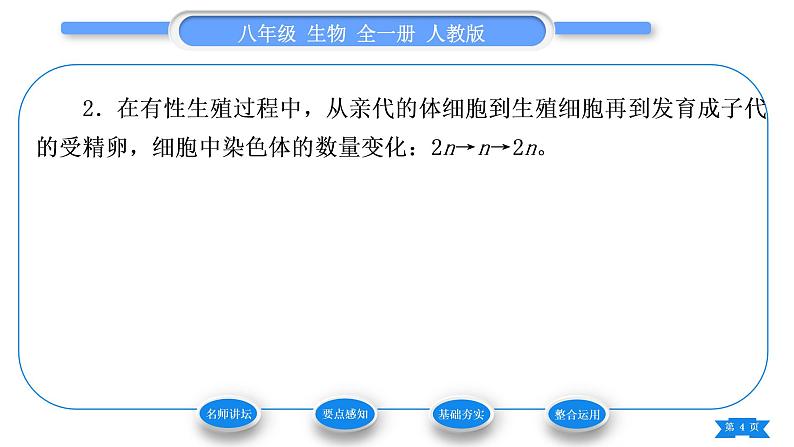 人教版八年级生物下第七单元生物圈中生命的延续和发展第二章生物的遗传与变异第二节基因在亲子代间的传递习题课件04