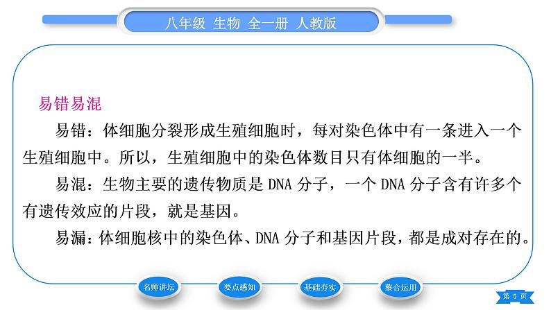 人教版八年级生物下第七单元生物圈中生命的延续和发展第二章生物的遗传与变异第二节基因在亲子代间的传递习题课件05