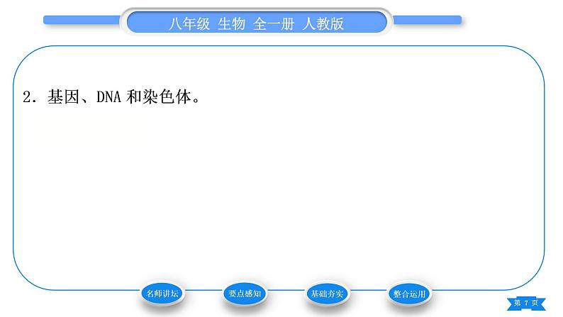 人教版八年级生物下第七单元生物圈中生命的延续和发展第二章生物的遗传与变异第二节基因在亲子代间的传递习题课件07