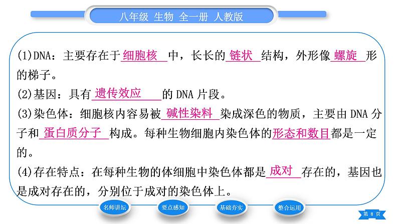 人教版八年级生物下第七单元生物圈中生命的延续和发展第二章生物的遗传与变异第二节基因在亲子代间的传递习题课件08