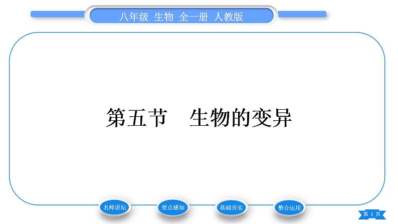 人教版八年级生物下第七单元生物圈中生命的延续和发展第二章生物的遗传与变异第五节生物的变异习题课件01