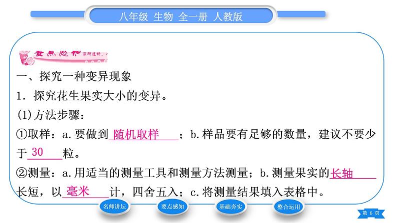 人教版八年级生物下第七单元生物圈中生命的延续和发展第二章生物的遗传与变异第五节生物的变异习题课件06