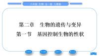 人教版 (新课标)八年级下册第一节 基因控制生物的性状习题课件ppt