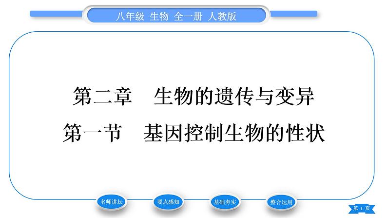 人教版八年级生物下第七单元生物圈中生命的延续和发展第二章生物的遗传与变异第一节基因控制生物的性状习题课件01