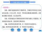 人教版八年级生物下第七单元生物圈中生命的延续和发展第二章生物的遗传与变异第一节基因控制生物的性状习题课件