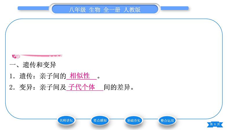 人教版八年级生物下第七单元生物圈中生命的延续和发展第二章生物的遗传与变异第一节基因控制生物的性状习题课件06