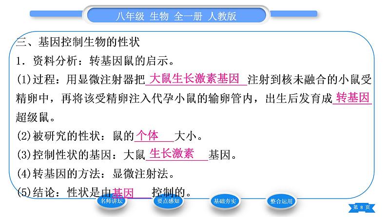 人教版八年级生物下第七单元生物圈中生命的延续和发展第二章生物的遗传与变异第一节基因控制生物的性状习题课件08