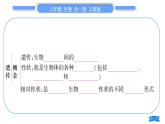 人教版八年级生物下第七单元生物圈中生命的延续和发展第二章生物的遗传与变异复习与提升习题课件