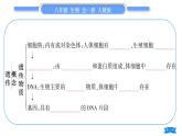 人教版八年级生物下第七单元生物圈中生命的延续和发展第二章生物的遗传与变异复习与提升习题课件