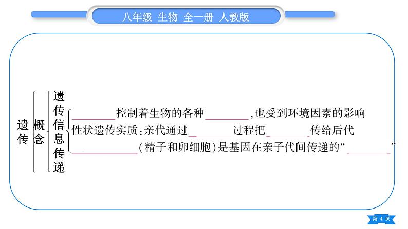 人教版八年级生物下第七单元生物圈中生命的延续和发展第二章生物的遗传与变异复习与提升习题课件第4页