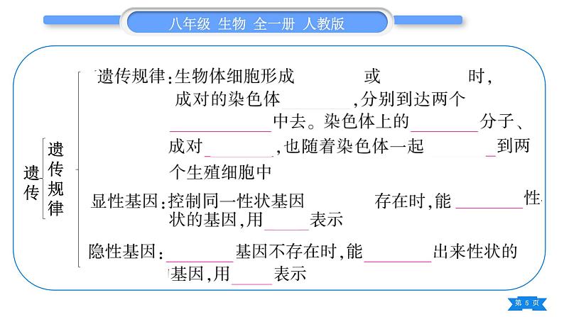 人教版八年级生物下第七单元生物圈中生命的延续和发展第二章生物的遗传与变异复习与提升习题课件第5页