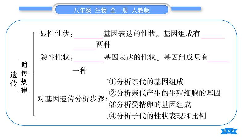 人教版八年级生物下第七单元生物圈中生命的延续和发展第二章生物的遗传与变异复习与提升习题课件第6页