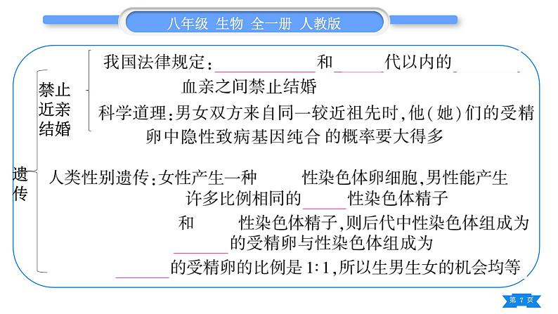 人教版八年级生物下第七单元生物圈中生命的延续和发展第二章生物的遗传与变异复习与提升习题课件第7页