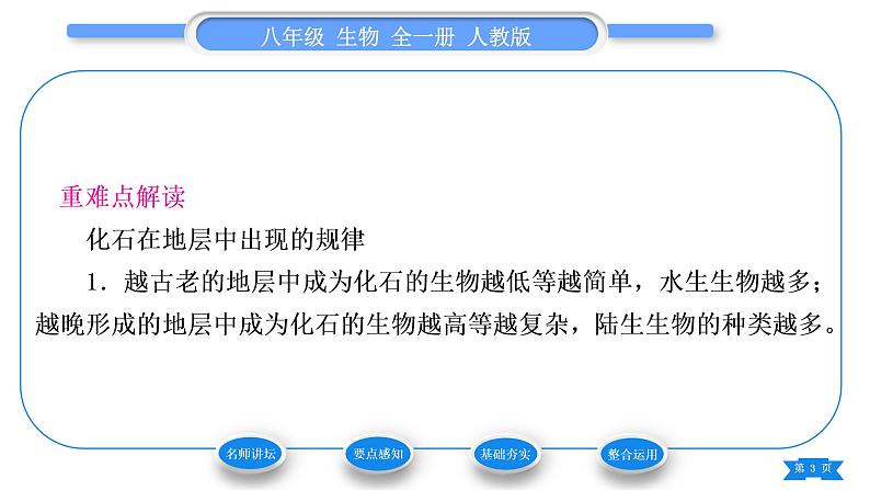 人教版八年级生物下第七单元生物圈中生命的延续和发展第三章生命起源和生物进化第二节生物进化的历程习题课件第3页