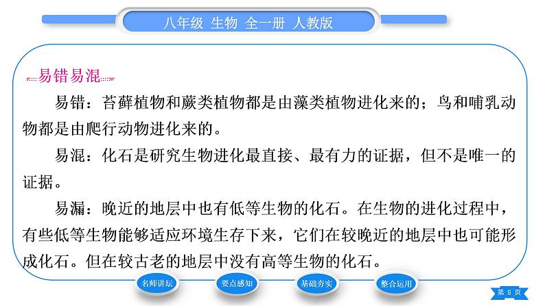 人教版八年级生物下第七单元生物圈中生命的延续和发展第三章生命起源和生物进化第二节生物进化的历程习题课件第5页