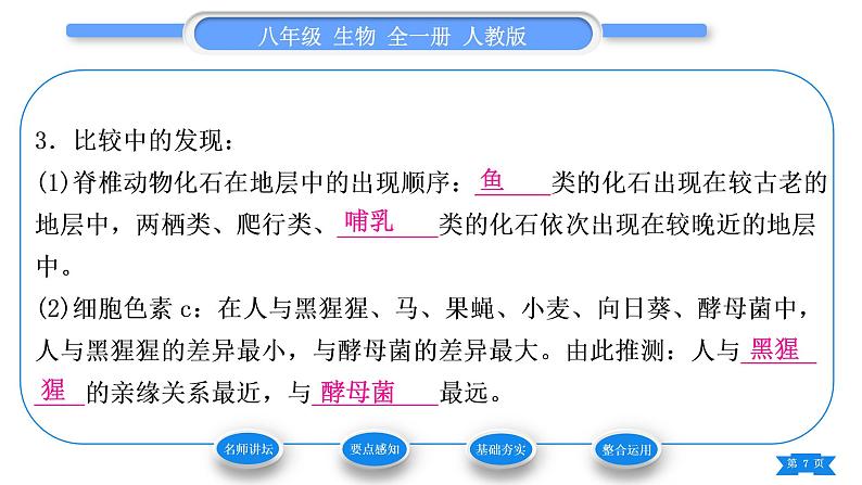 人教版八年级生物下第七单元生物圈中生命的延续和发展第三章生命起源和生物进化第二节生物进化的历程习题课件第7页