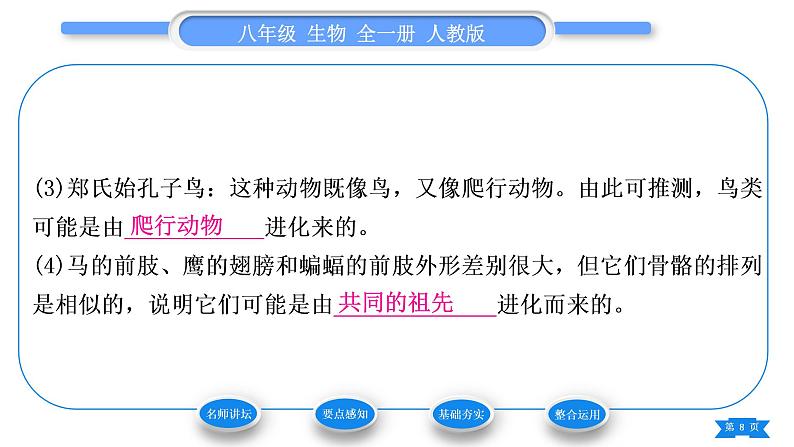 人教版八年级生物下第七单元生物圈中生命的延续和发展第三章生命起源和生物进化第二节生物进化的历程习题课件第8页