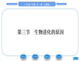 人教版八年级生物下第七单元生物圈中生命的延续和发展第三章生命起源和生物进化第三节生物进化的原因习题课件