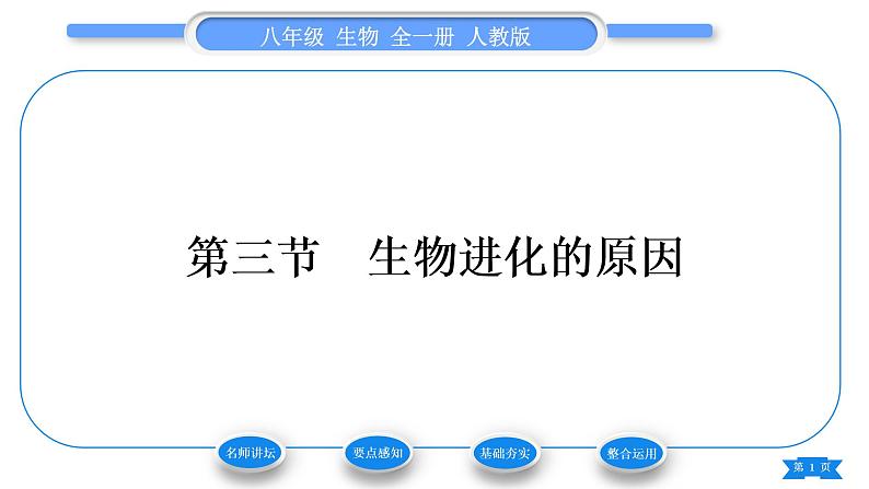 人教版八年级生物下第七单元生物圈中生命的延续和发展第三章生命起源和生物进化第三节生物进化的原因习题课件第1页