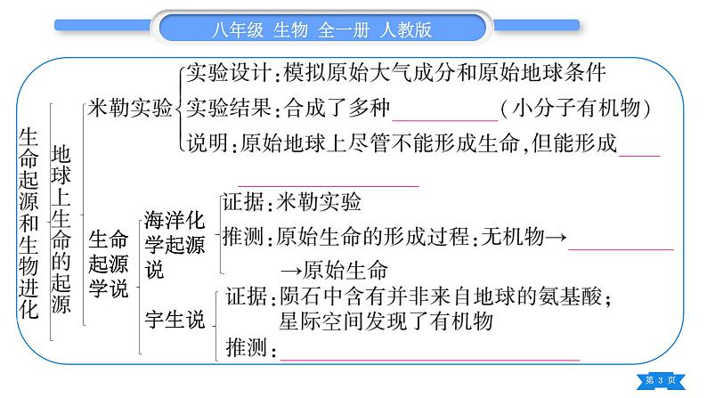 人教版八年级生物下第七单元生物圈中生命的延续和发展第三章生命起源和生物进化复习与提升习题课件第3页