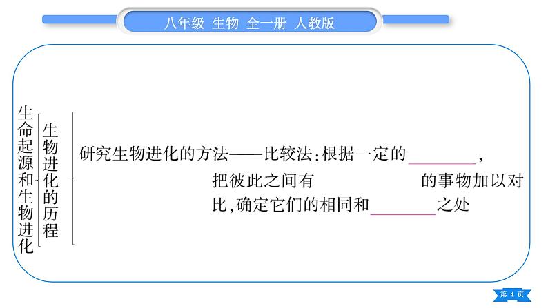 人教版八年级生物下第七单元生物圈中生命的延续和发展第三章生命起源和生物进化复习与提升习题课件第4页