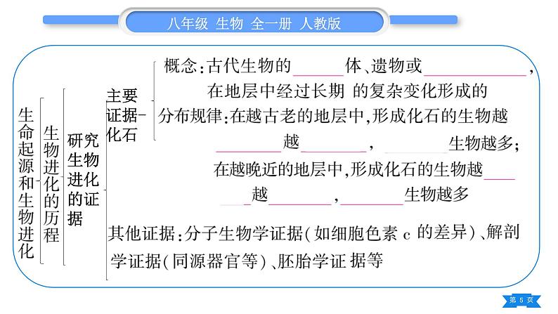 人教版八年级生物下第七单元生物圈中生命的延续和发展第三章生命起源和生物进化复习与提升习题课件第5页