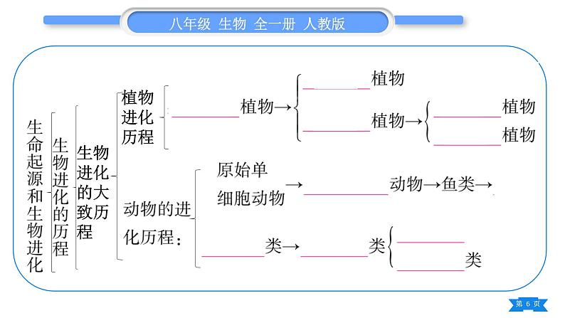 人教版八年级生物下第七单元生物圈中生命的延续和发展第三章生命起源和生物进化复习与提升习题课件第6页