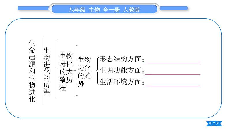 人教版八年级生物下第七单元生物圈中生命的延续和发展第三章生命起源和生物进化复习与提升习题课件第7页