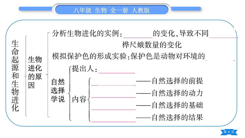 人教版八年级生物下第七单元生物圈中生命的延续和发展第三章生命起源和生物进化复习与提升习题课件第8页