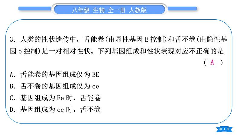 人教版八年级生物下第七单元生物圈中生命的延续和发展第三章生命起源和生物进化专题四生物的进化、遗传和变异习题课件04