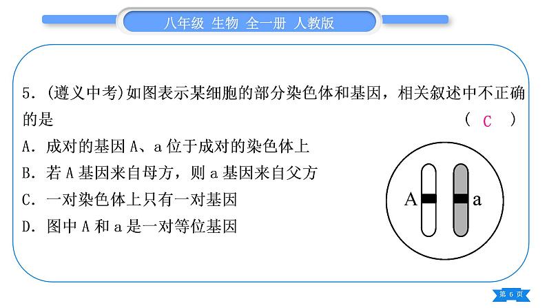 人教版八年级生物下第七单元生物圈中生命的延续和发展第三章生命起源和生物进化专题四生物的进化、遗传和变异习题课件06