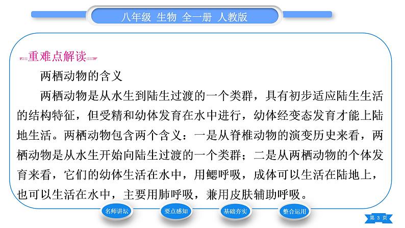 人教版八年级生物下第七单元生物圈中生命的延续和发展第一章生物的生殖和发育第三节两栖动物的生殖和发育习题课件第3页