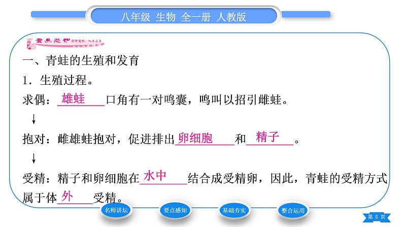 人教版八年级生物下第七单元生物圈中生命的延续和发展第一章生物的生殖和发育第三节两栖动物的生殖和发育习题课件第5页