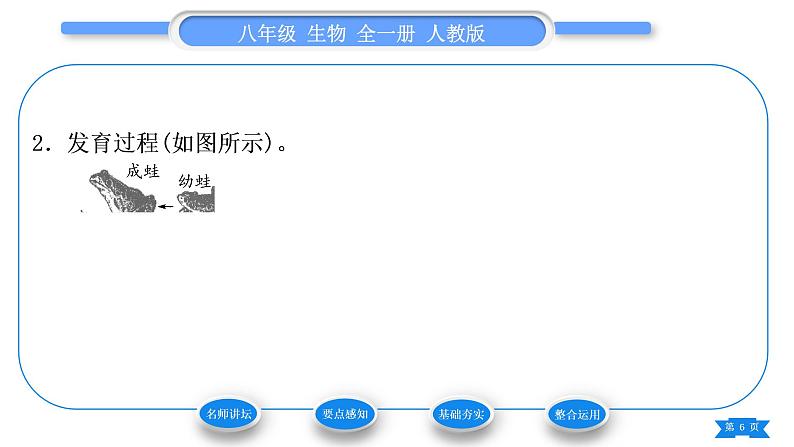 人教版八年级生物下第七单元生物圈中生命的延续和发展第一章生物的生殖和发育第三节两栖动物的生殖和发育习题课件第6页