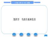 人教版八年级生物下第七单元生物圈中生命的延续和发展第一章生物的生殖和发育第四节鸟的生殖和发育习题课件